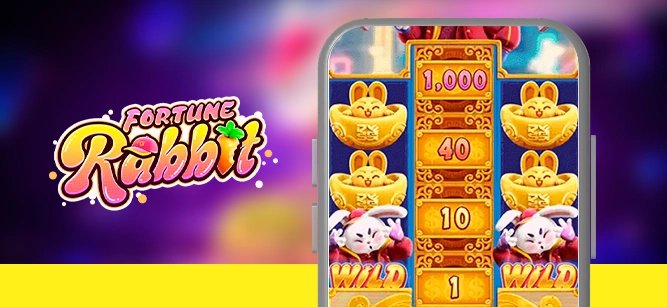 dooball169