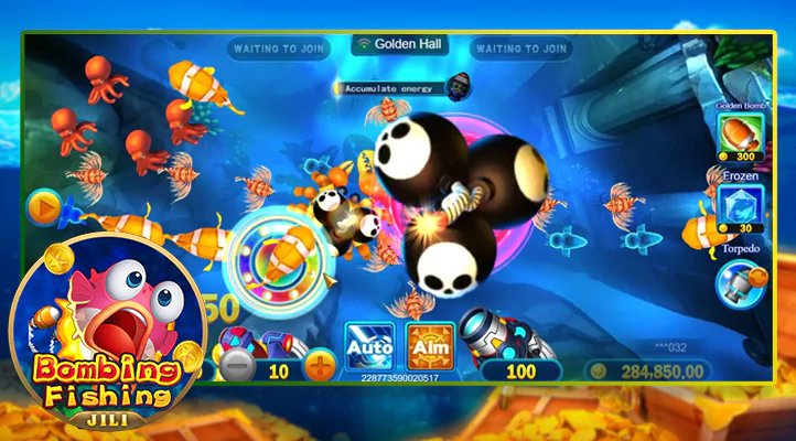 dooball169